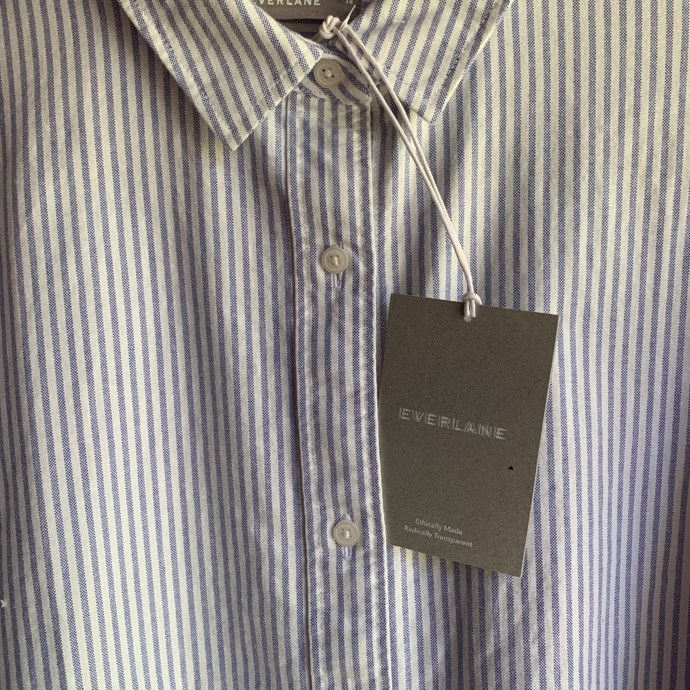 Everlane Oxford blue + white striped shirt NWT